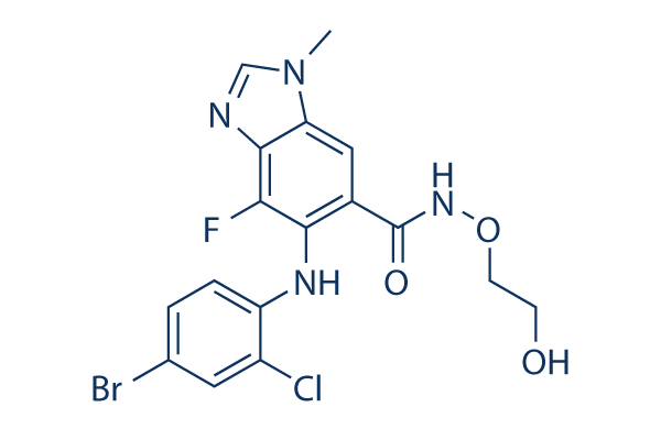 Selumetinib (AZD6244) chemical structure
