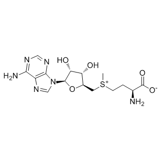 Ademetionine