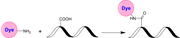 XFD350 amine - AAT Bioquest