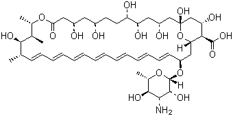 Amphotericin B Solubilized