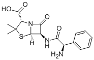 Ampicillin