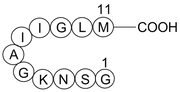 Amyloid beta-peptide(25-35)