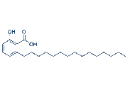Anacardic Acid
