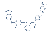 HER2-Inhibitor-1 chemical structure