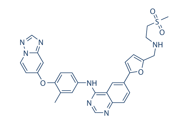HER2-Inhibitor-1 chemical structure