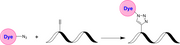 XFD488 azide - AAT Bioquest