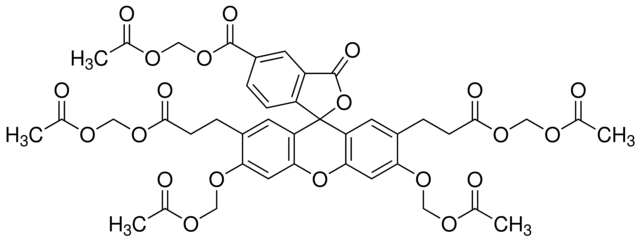 BCECF, AM