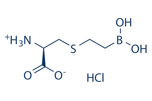 BEC hydrochloride
