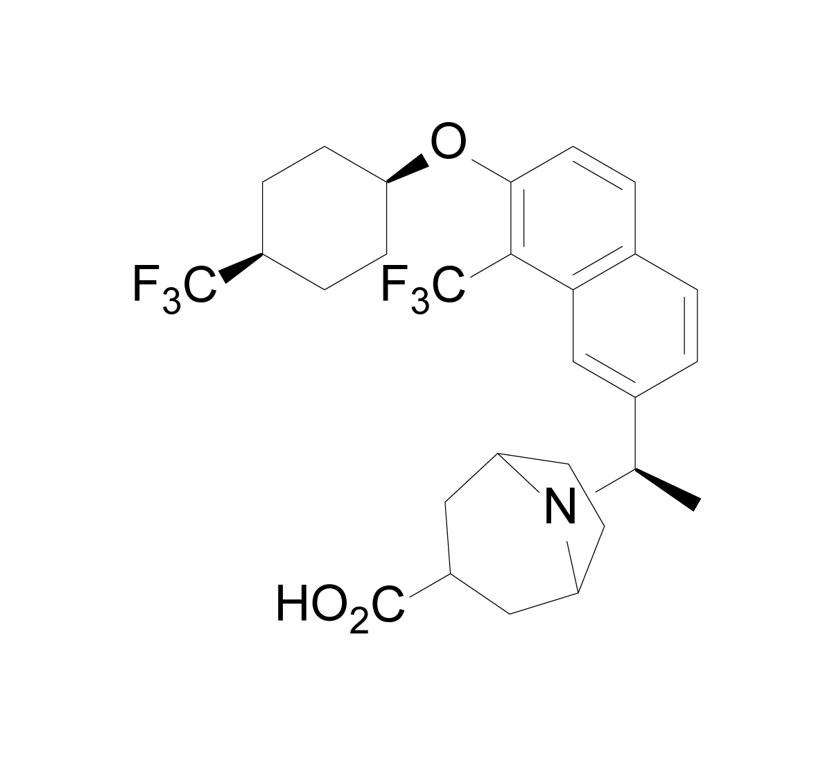 BIO-32546