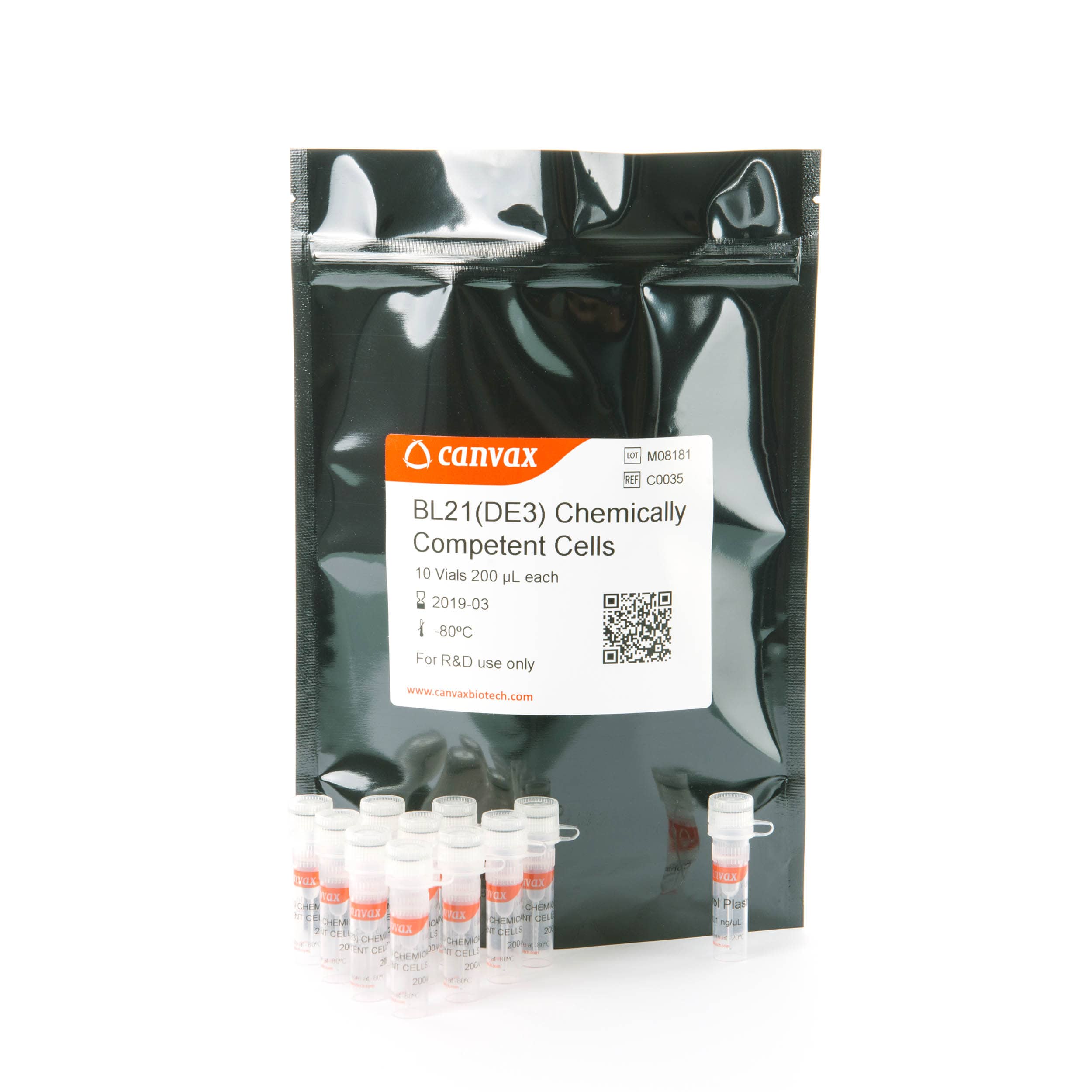 BL21 (DE3) Competent Cells