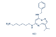 BS-181 HCl chemical structure