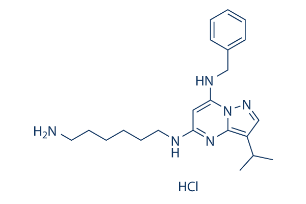 BS-181 HCl chemical structure