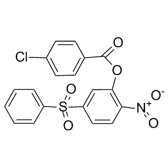 BTB06584