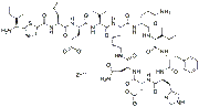 Bacitracin Zinc