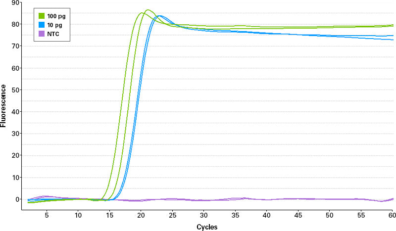 BcaBEST DNA Polymerase ver.2.0 - Real-time PCR - Takara Bio