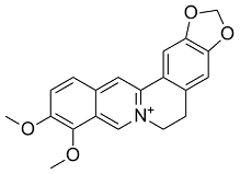 Berberine
