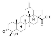 Betulonic acid
