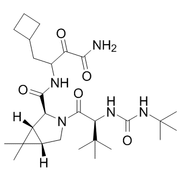 Boceprevir (EBP 520)