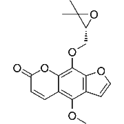Byakangelicol