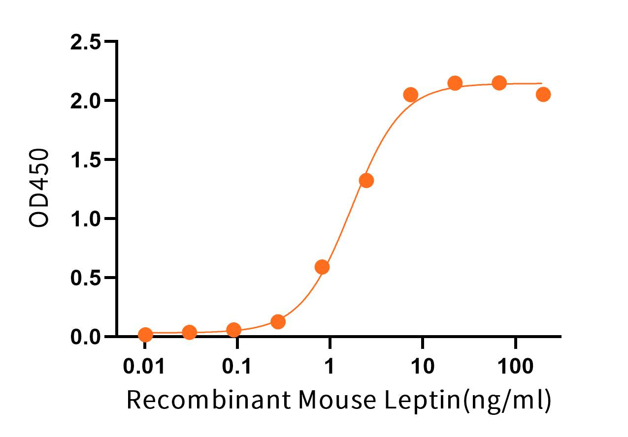 Recombinant Mouse LEPR (C-Fc)