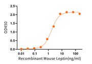 Recombinant Mouse LEPR (C-Fc)