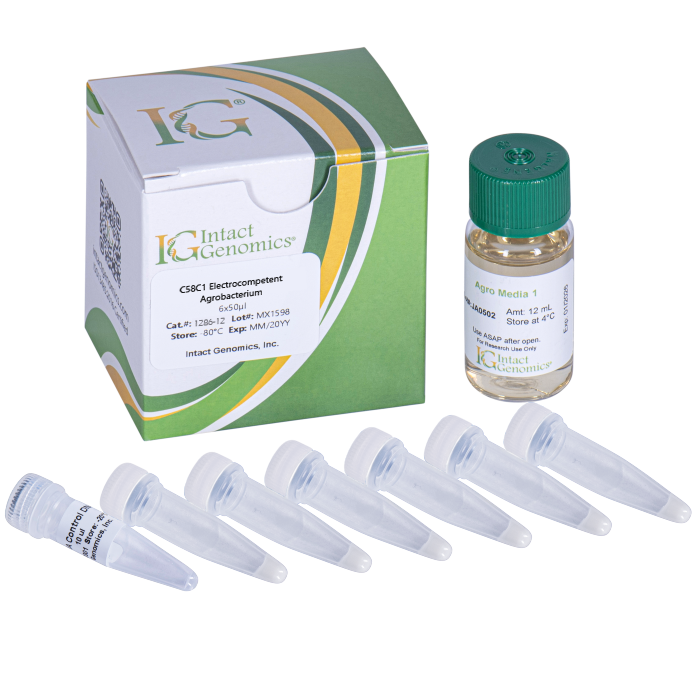 C58C1 Agrobacterium ElectroCompetent Cells