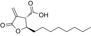 C75 trans