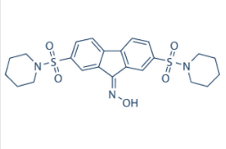 CIL56 (CA3)