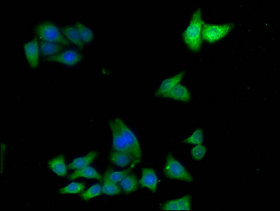 Adh7 Polyclonal Antibody - image 5