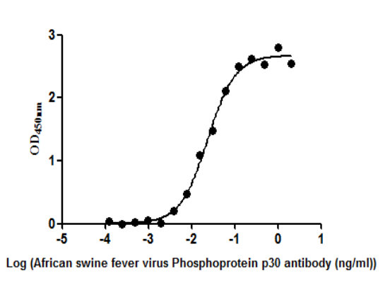 African swine fever virus Phosphoprotein p30 (Ba71V-93) Monoclonal Antibody - image 2