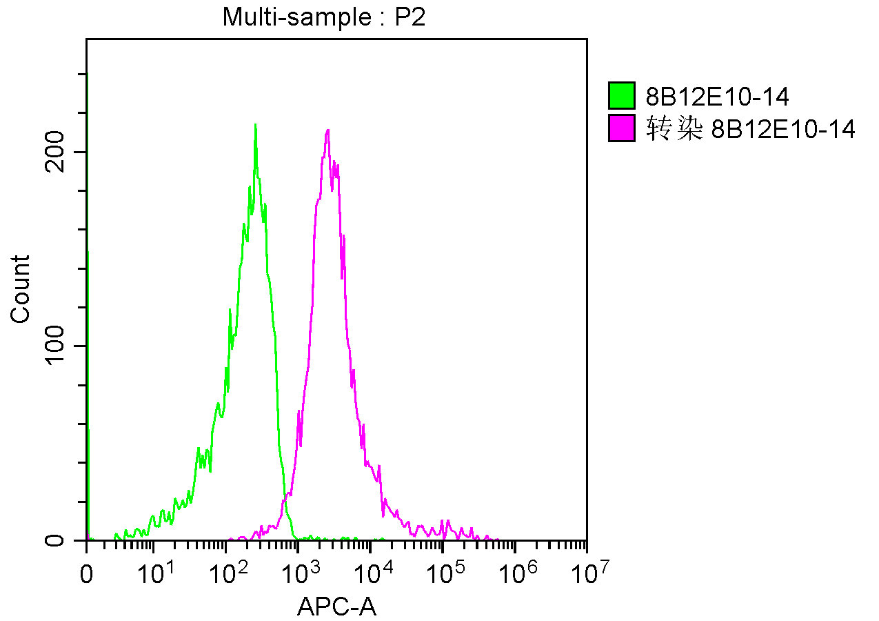 LAG3 Monoclonal Antibody - image 5