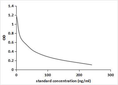 Noradrenaline (NE) Monoclonal Antibody - image 2