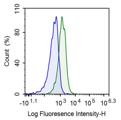 Anti-Cluster Of Differentiation 4 (CD4) Polyclonal Antibody - image 2