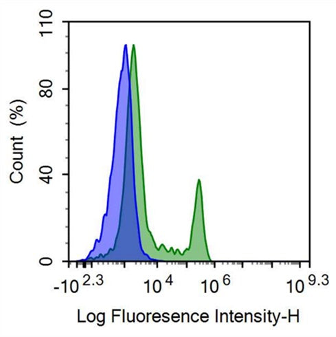 FITC-Linked Anti-Cluster Of Differentiation 8a (CD8a) Polyclonal Antibody - image 2