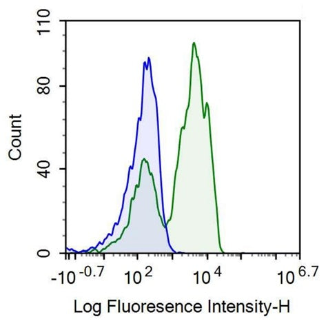 Anti-Cluster Of Differentiation 2 (CD2) Polyclonal Antibody - image 2