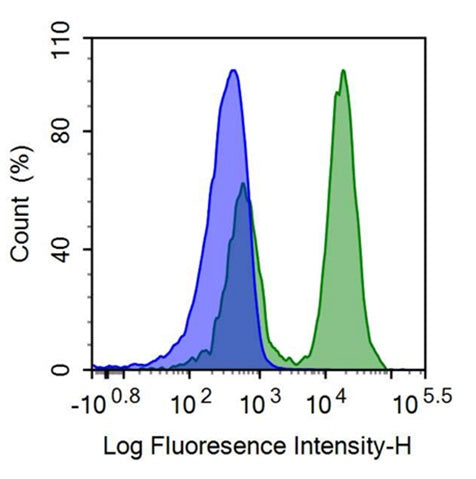 FITC-Linked Anti-T-Cell Surface Glycoprotein CD3 Epsilon (CD3e) Polyclonal Antibody - image 2