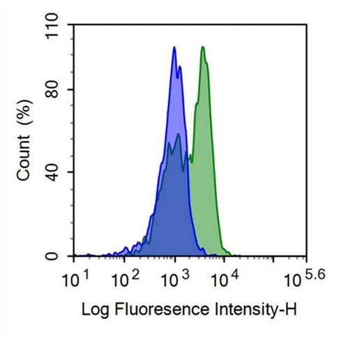 FITC-Linked Anti-Tumor Necrosis Factor Receptor Superfamily, Member 7 (TNFRSF7) Polyclonal Antibody - image 2