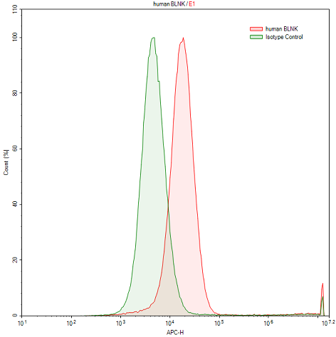 Anti-B-Cell Linker Protein (BLNK) Polyclonal Antibody - image 2