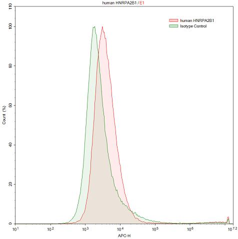Anti-Heterogeneous Nuclear Ribonucleoprotein A2/B1 (HNRPA2B1) Polyclonal Antibody - image 2