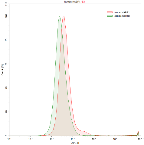Anti-Complement component 1 Q subcomponent-binding protein, mitochondrial (C1QBP) Polyclonal Antibody - image 2