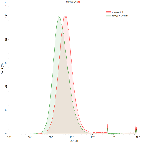 Anti-Complement Component 4 (C4) Polyclonal Antibody - image 2