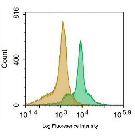 FITC-Linked Anti-Cluster Of Differentiation 55 (CD55) Monoclonal Antibody - image 3