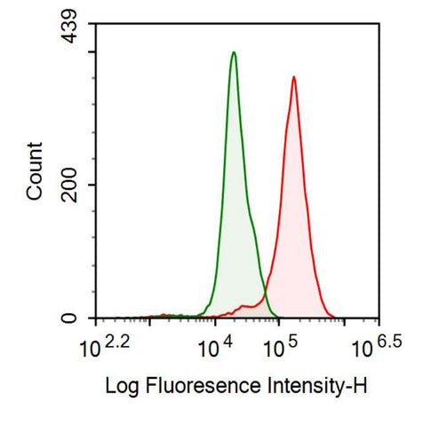 Anti-Cluster Of Differentiation 2 (CD2) Polyclonal Antibody - image 2