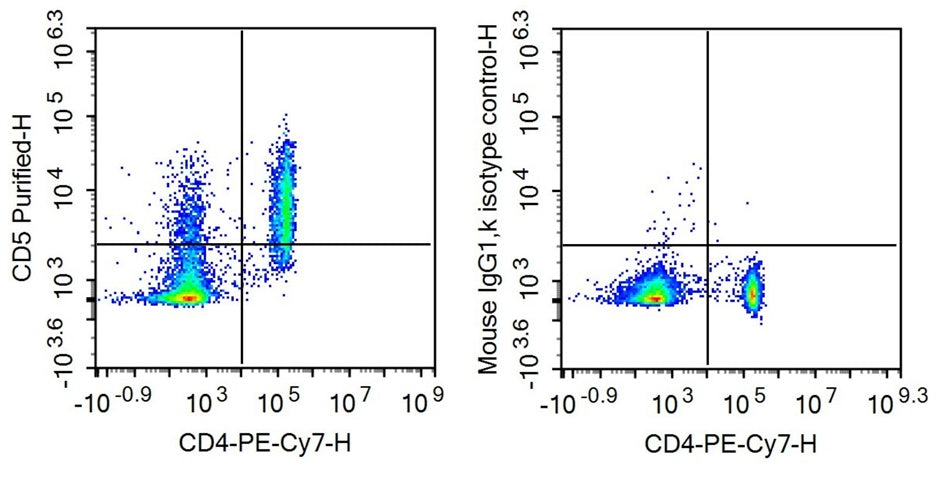 Anti-Cluster Of Differentiation 5 (CD5) Monoclonal Antibody - image 2