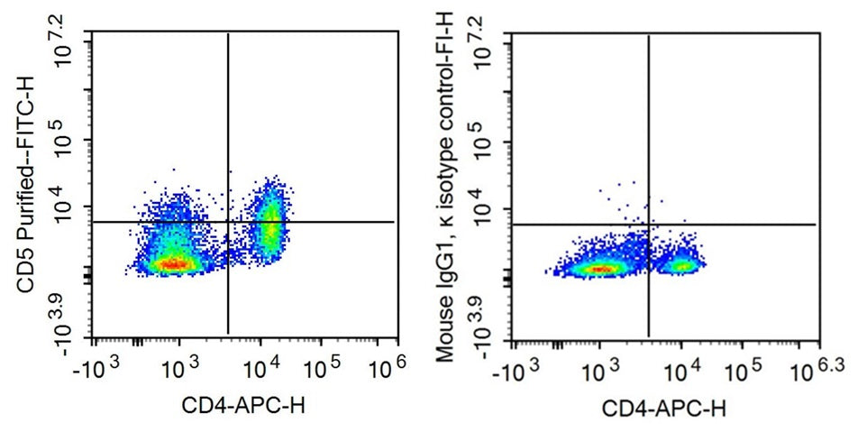 Anti-Cluster Of Differentiation 5 (CD5) Monoclonal Antibody - image 2