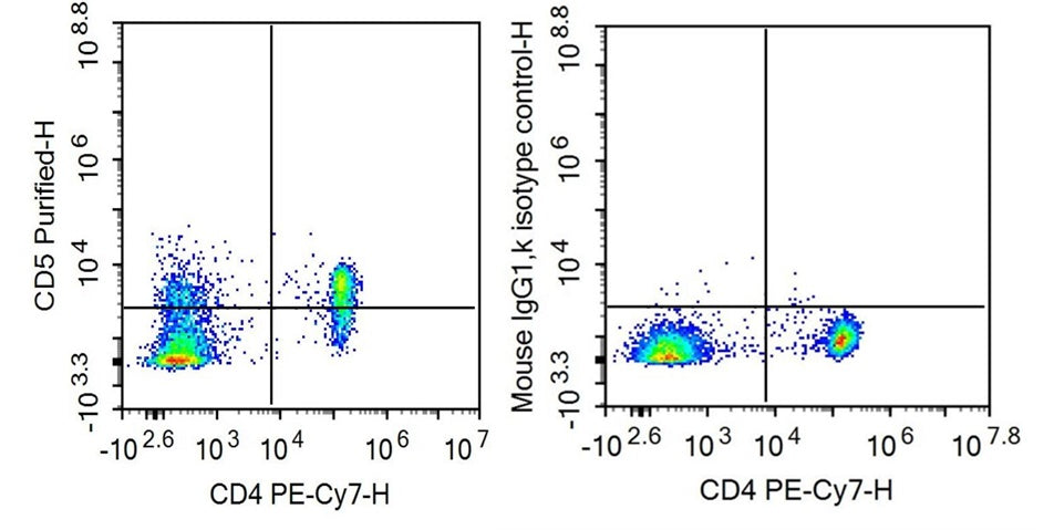 Anti-Cluster Of Differentiation 5 (CD5) Monoclonal Antibody - image 2