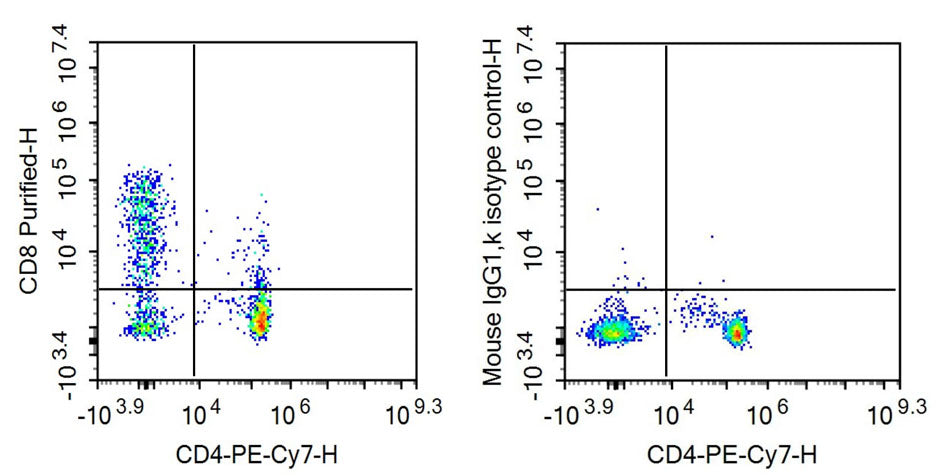 Anti-Cluster Of Differentiation 8a (CD8a) Monoclonal Antibody - image 2