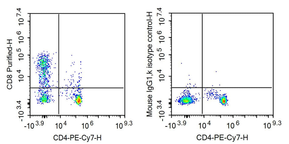 Anti-Cluster Of Differentiation 8a (CD8a) Monoclonal Antibody - image 2