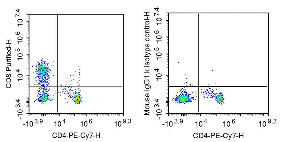 Anti-Cluster Of Differentiation 8a (CD8a) Monoclonal Antibody - image 2