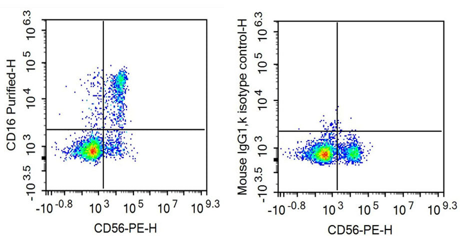 Anti-Fc Fragment Of IgG Low Affinity IIIb Receptor (FcgR3B) Monoclonal Antibody - image 2